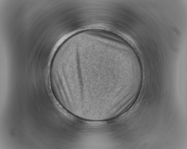 X0000112921200200909211046