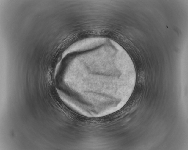 X0000112921202200909211045