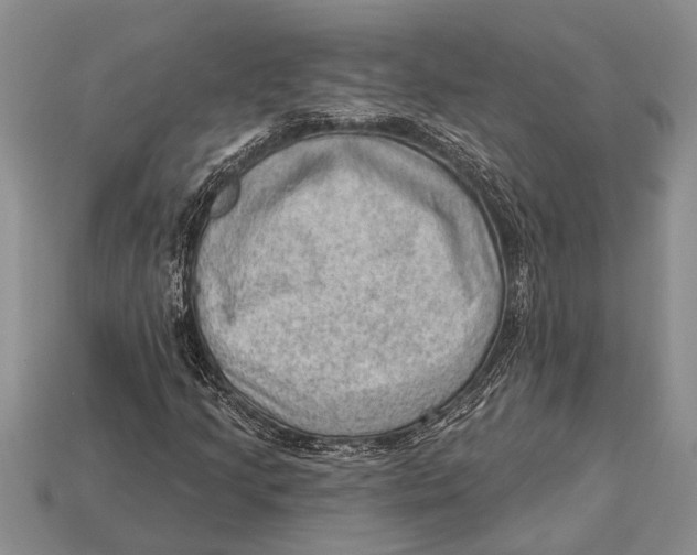 X0000112921205200909211045