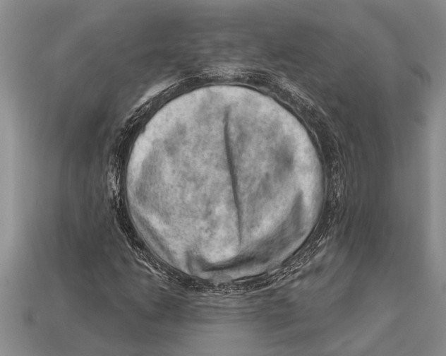 X0000112921206200909211045