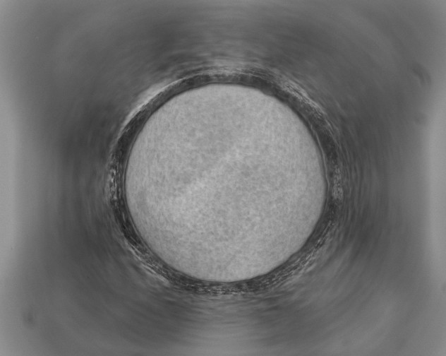 X0000112921208200909211045