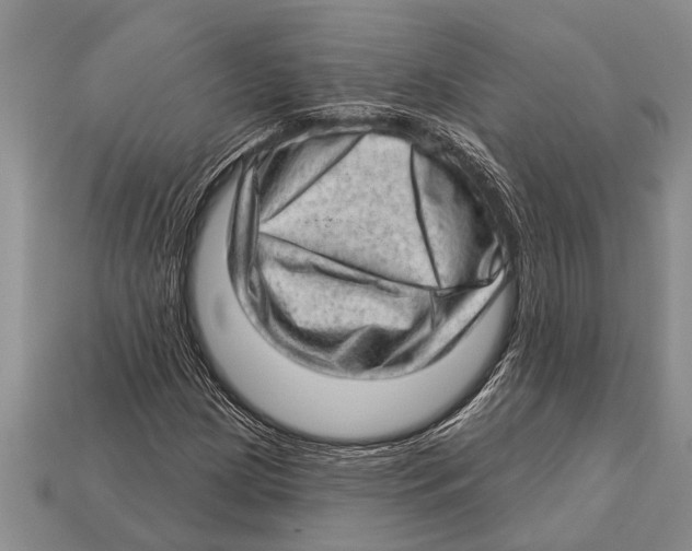 X0000112921209200909211045