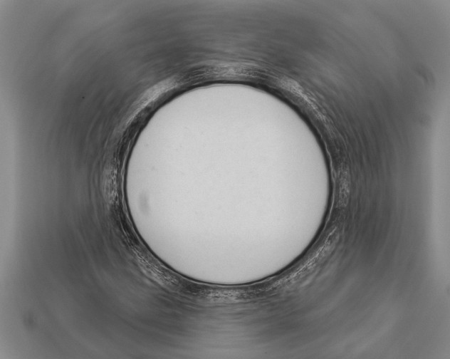 X0000112921211200909211045