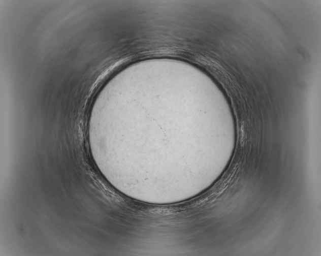 X0000112921212200909211045
