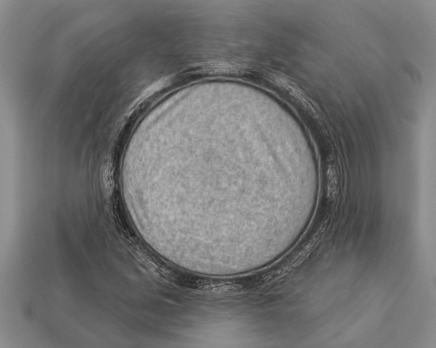X0000112921213200909211045