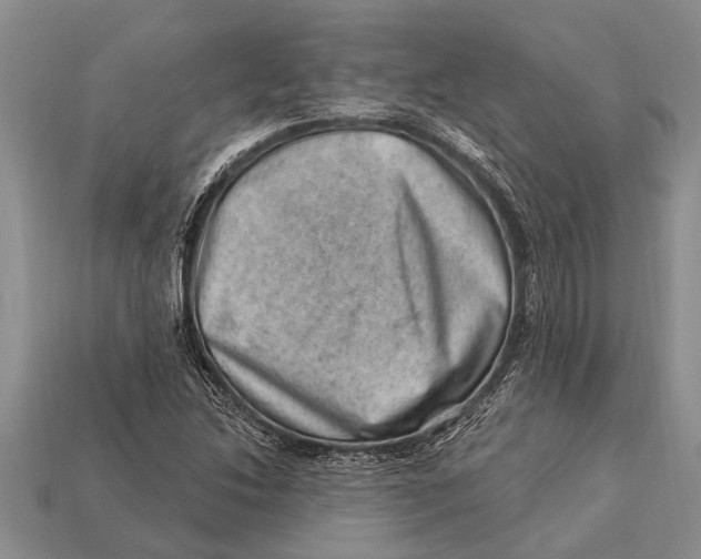 X0000112921214200909211045