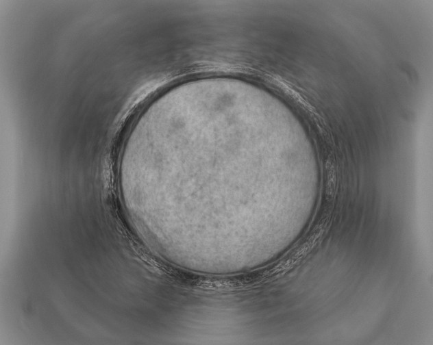 X0000112921215200909211045