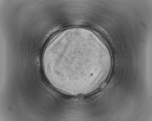 X0000112921218200909211045