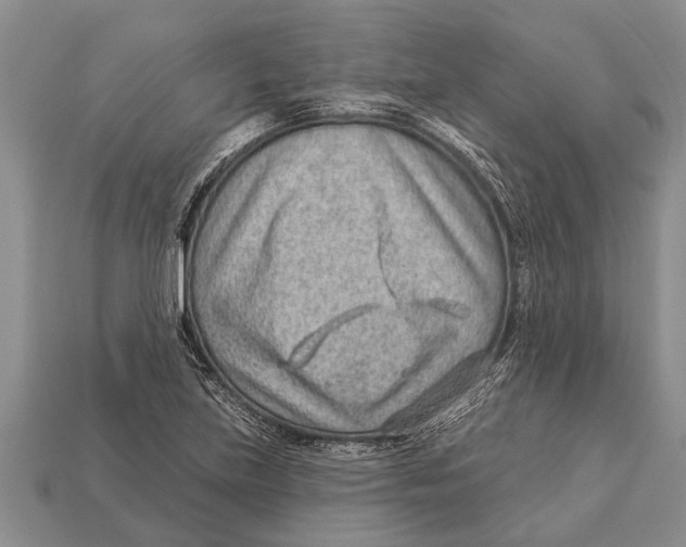 X0000112921219200909211045