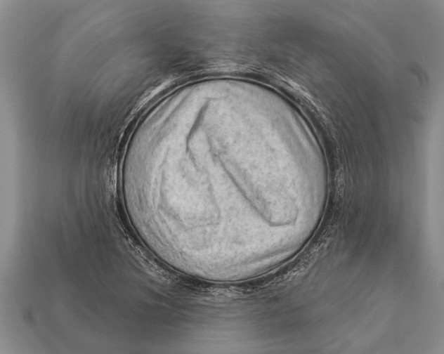 X0000112921220200909211045