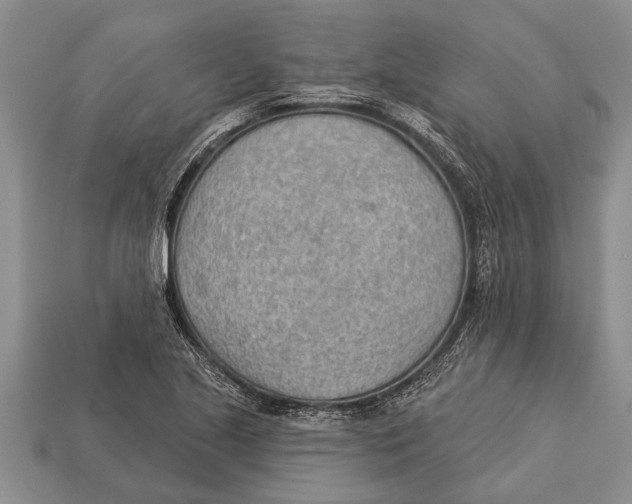 X0000112921221200909211045
