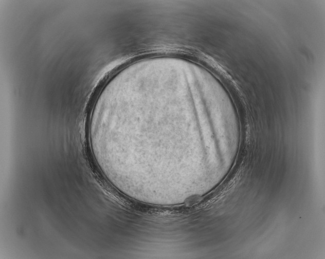 X0000112921222200909211045