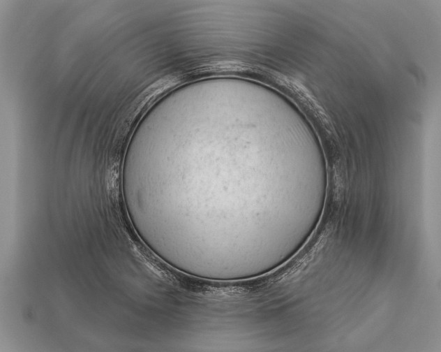 X0000112921225200909211045