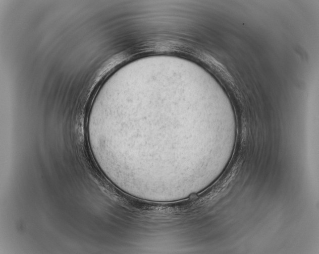 X0000112921226200909211045