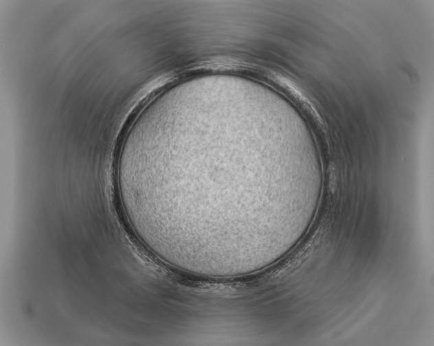 X0000112921229200909211045