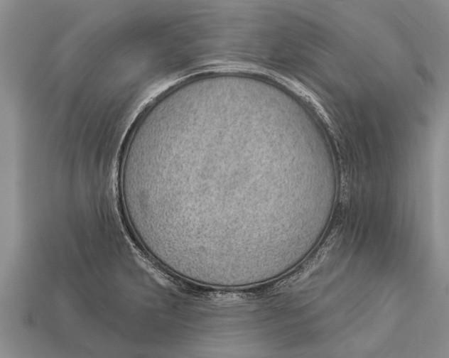X0000112921231200909211045