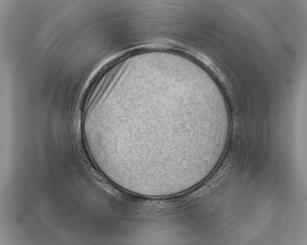 X0000112921232200909211045