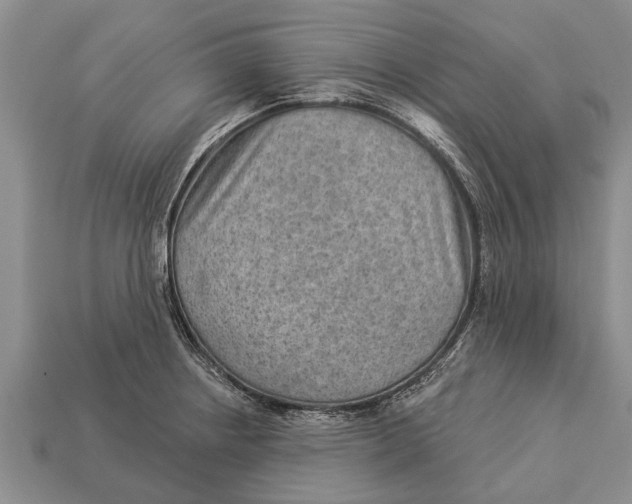 X0000112921234200909211045