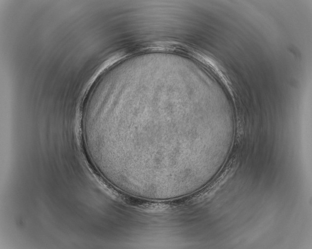 X0000112921235200909211045