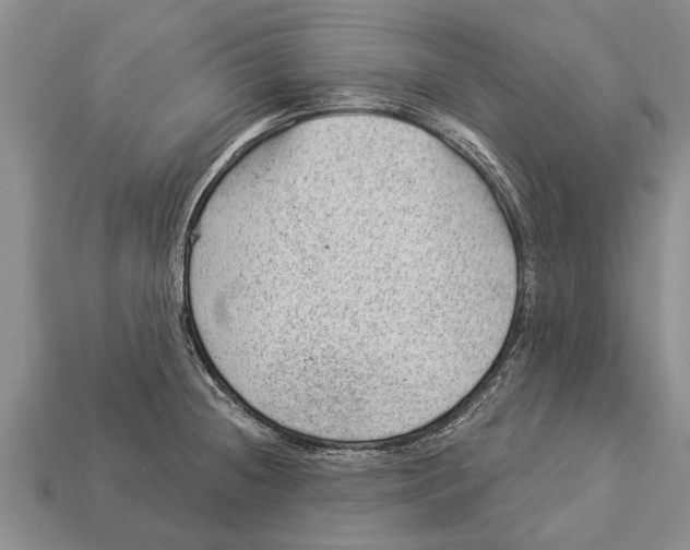 X0000112921236200909211045