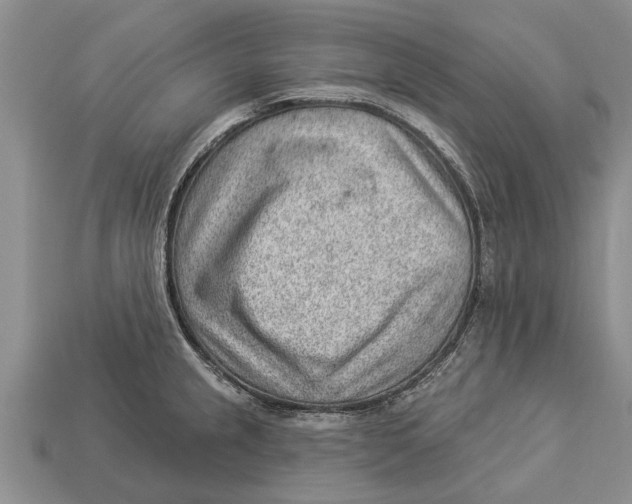 X0000112921237200909211045