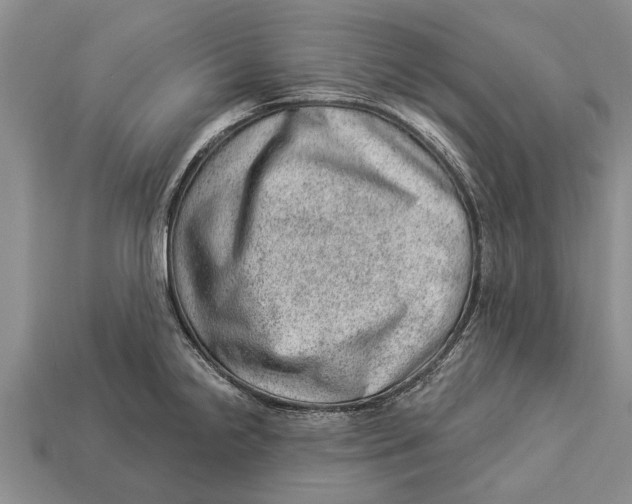 X0000112921238200909211045
