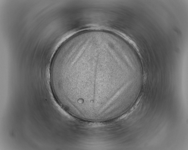 X0000112921239200909211045