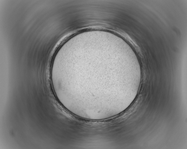X0000112921240200909211045