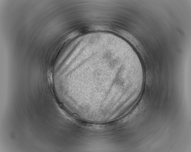 X0000112921241200909211046