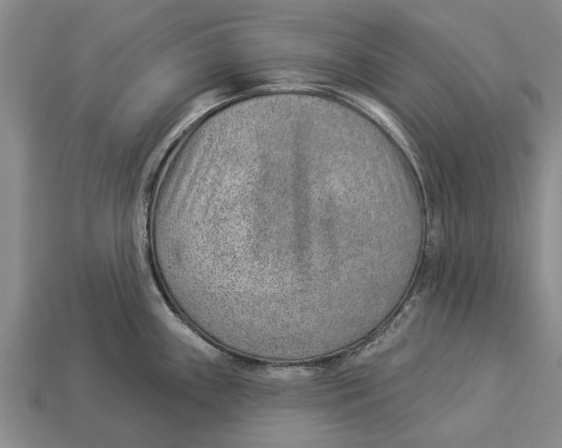 X0000112921243200909211046