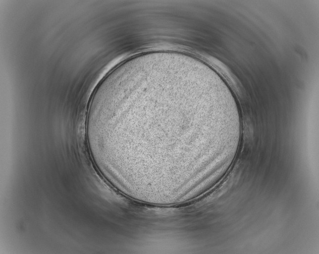 X0000112921244200909211046