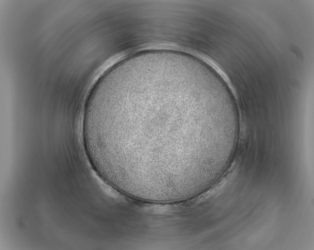 X0000112921245200909211046
