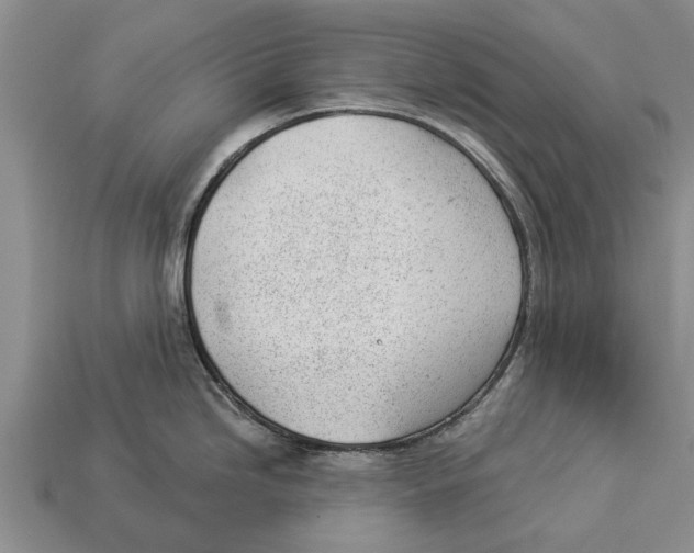 X0000112921246200909211046