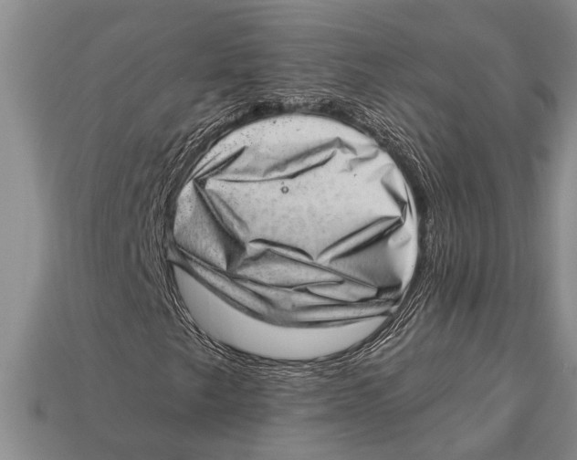 X0000112921249200909211045