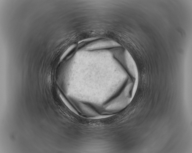 X0000112921250200909211045