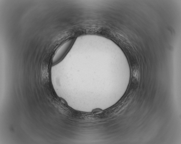 X0000112921252200909211045