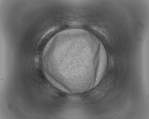X0000112921254200909211045