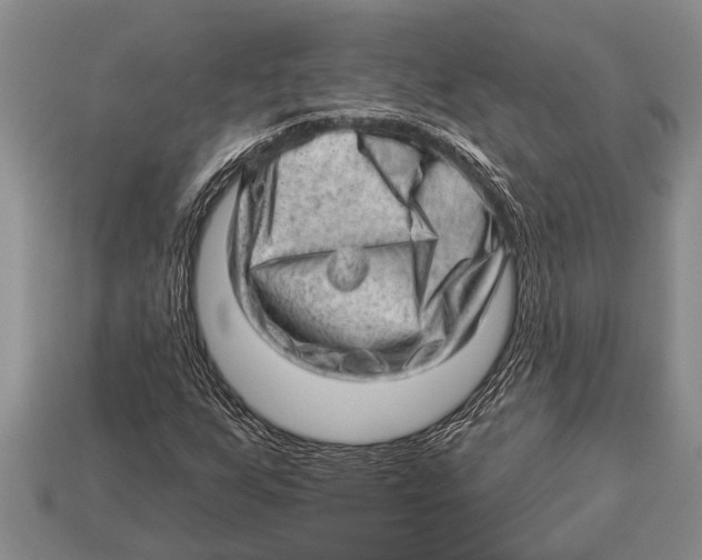 X0000112921255200909211045