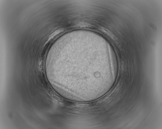X0000112921258200909211045