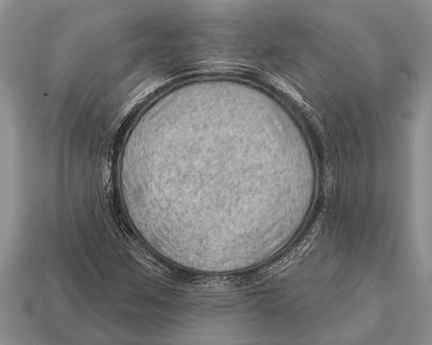 X0000112921259200909211045