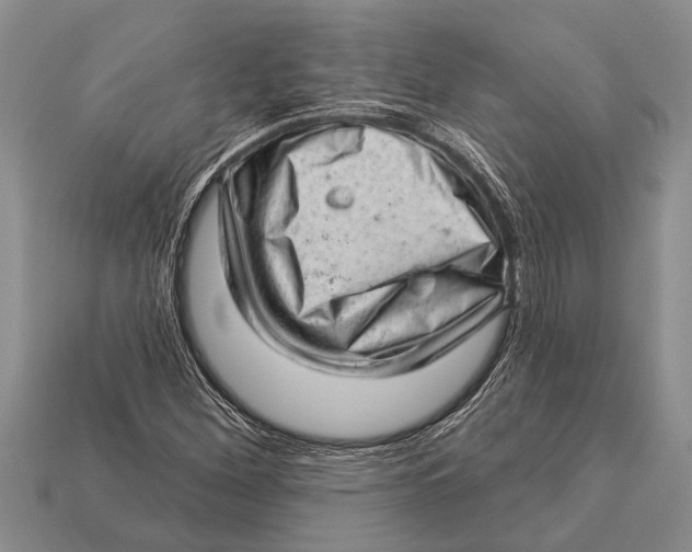 X0000112921260200909211045