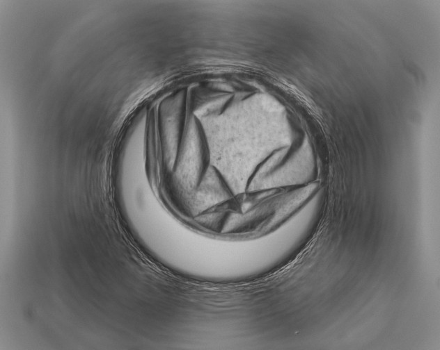 X0000112921261200909211045