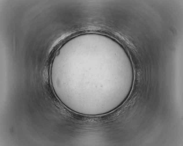X0000112921262200909211045