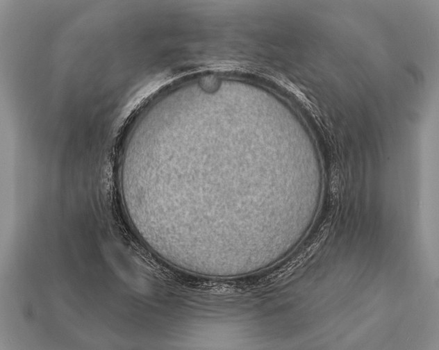 X0000112921263200909211045