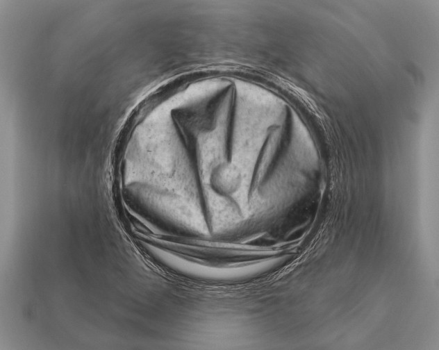 X0000112921264200909211045