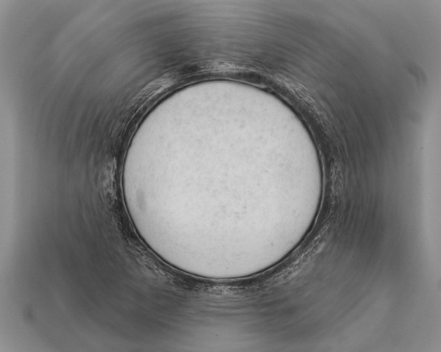 X0000112921265200909211045