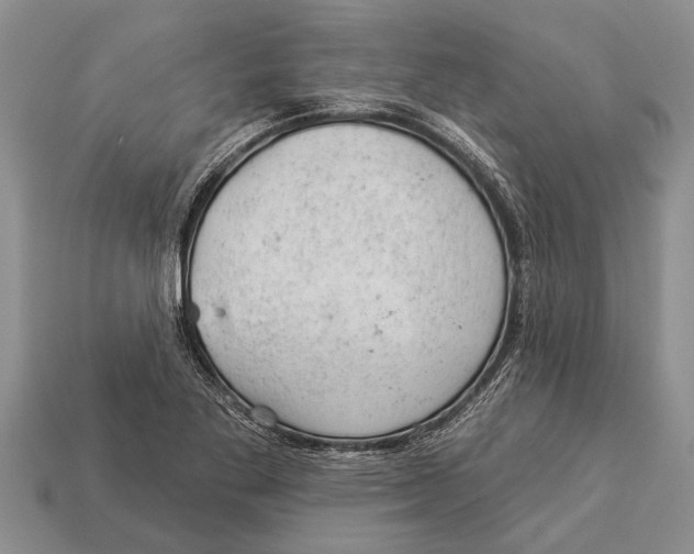 X0000112921269200909211045