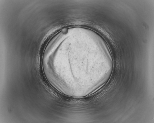 X0000112921270200909211045