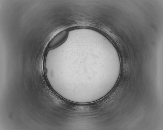 X0000112921272200909211045