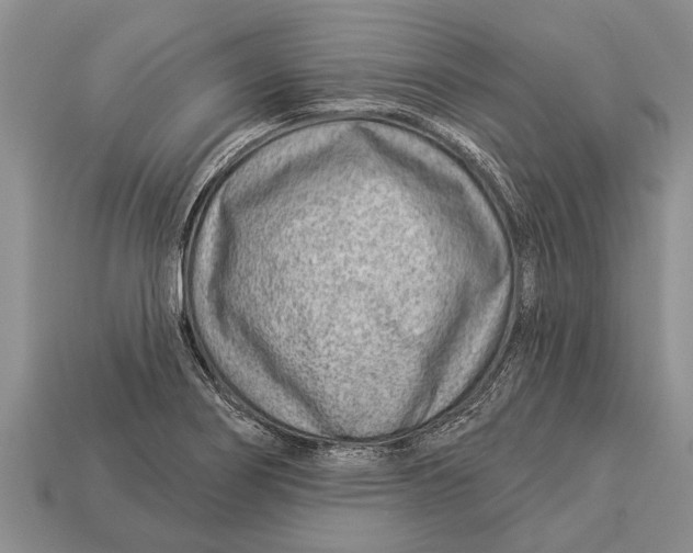 X0000112921274200909211045